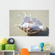 Spider Conch Seashell Laying On Sand Wall Mural
