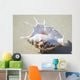 Spider Conch Seashell Laying On Sand Wall Mural
