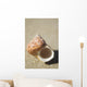 Tapestry Turban Seashell Laying On Sand, Selective Focus Wall Mural