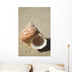 Tapestry Turban Seashell Laying On Sand, Selective Focus Wall Mural
