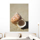 Tapestry Turban Seashell Laying On Sand, Selective Focus Wall Mural