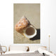 Tapestry Turban Seashell Laying On Sand, Selective Focus Wall Mural