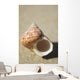 Tapestry Turban Seashell Laying On Sand, Selective Focus Wall Mural