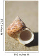 Tapestry Turban Seashell Laying On Sand, Selective Focus Wall Mural