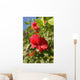 Focus On Bright Red Hibiscus On Flower Bush Wall Mural