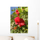 Focus On Bright Red Hibiscus On Flower Bush Wall Mural