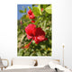 Focus On Bright Red Hibiscus On Flower Bush Wall Mural