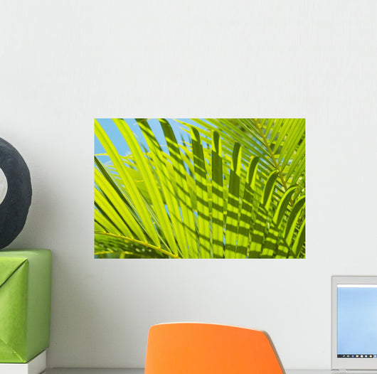 Close-Up Detail Of Light Green Palm Leaves Wall Mural