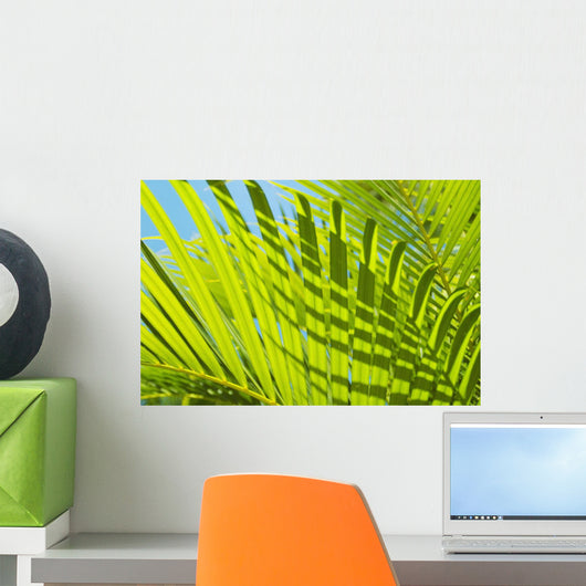 Close-Up Detail Of Light Green Palm Leaves Wall Mural