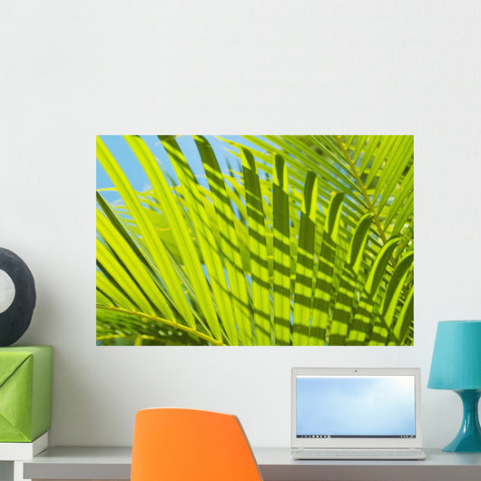 Close-Up Detail Of Light Green Palm Leaves Wall Mural