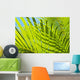 Close-Up Detail Of Light Green Palm Leaves Wall Mural