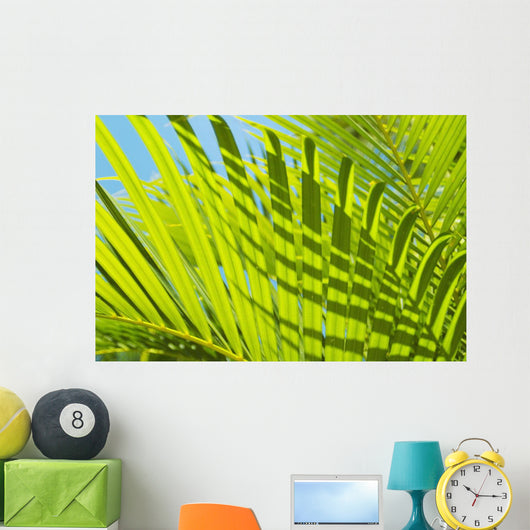 Close-Up Detail Of Light Green Palm Leaves Wall Mural
