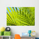 Close-Up Detail Of Light Green Palm Leaves Wall Mural