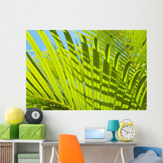 Close-Up Detail Of Light Green Palm Leaves Wall Mural