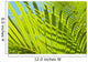 Close-Up Detail Of Light Green Palm Leaves Wall Mural