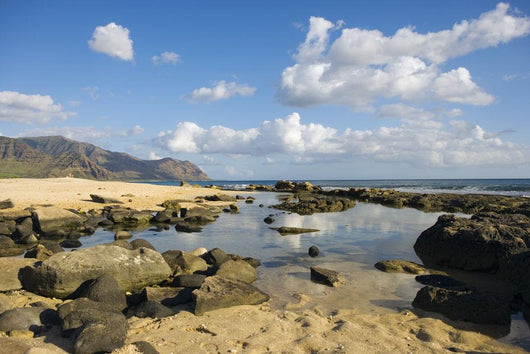 Hawaii, Oahu, Yokohama Bay, Waianae, Rocky Beach And Calm Ocean Wall Mural