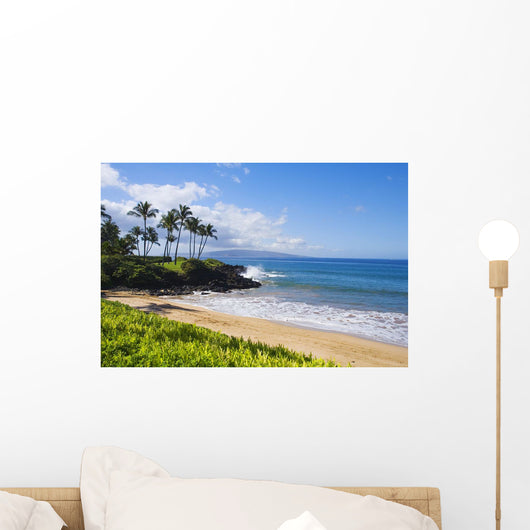 Hawaii, Maui, Wailea, Beautiful Ulua Beach Wall Mural