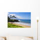 Hawaii, Maui, Wailea, Beautiful Ulua Beach Wall Mural