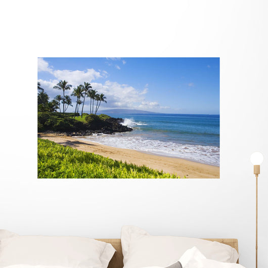 Hawaii, Maui, Wailea, Beautiful Ulua Beach Wall Mural