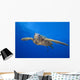 Hawaii, Close-Up Of Green Sea Turtle Swimming Forward Wall Mural