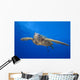 Hawaii, Close-Up Of Green Sea Turtle Swimming Forward Wall Mural