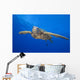 Hawaii, Close-Up Of Green Sea Turtle Swimming Forward Wall Mural