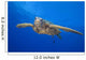 Hawaii, Close-Up Of Green Sea Turtle Swimming Forward Wall Mural