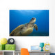 Hawaii, Close-Up Of Green Sea Turtle Swimming Forward Wall Mural