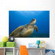 Hawaii, Close-Up Of Green Sea Turtle Swimming Forward Wall Mural