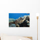 Hawaii, Close-Up Of Green Sea Turtle Swimming Forward Wall Mural