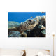 Hawaii, Close-Up Of Green Sea Turtle Swimming Forward Wall Mural