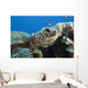 Hawaii, Close-Up Of Green Sea Turtle Swimming Forward Wall Mural