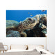 Hawaii, Close-Up Of Green Sea Turtle Swimming Forward Wall Mural