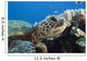 Hawaii, Close-Up Of Green Sea Turtle Swimming Forward Wall Mural