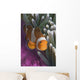 Malaysia, Mabul Island, Western Clown Anemone Fish Wall Mural