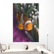 Malaysia, Mabul Island, Western Clown Anemone Fish Wall Mural