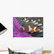 Malaysia, Mabul Island, Western Clown Anemone Fish Wall Mural