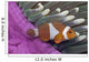 Malaysia, Mabul Island, Western Clown Anemone Fish Wall Mural