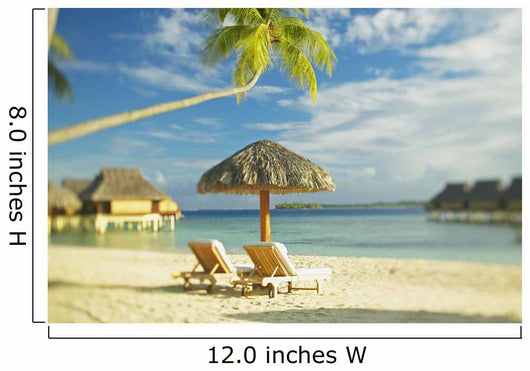 Lounge Chairs And Thatch Umbrella Wall Mural