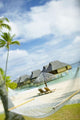 Hammock Wall Mural