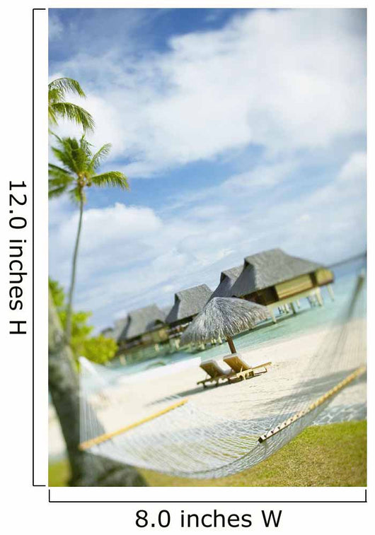 Hammock Wall Mural