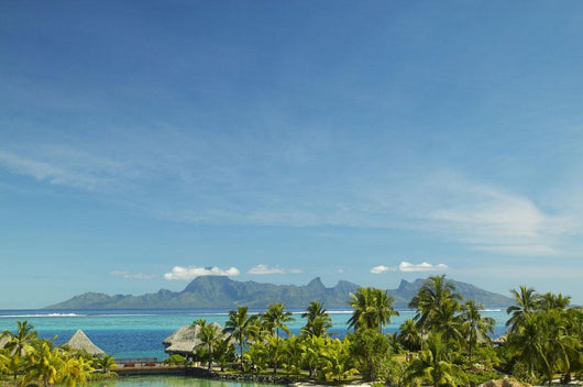 Palm Trees And Grass Huts In Foreground Wall Mural