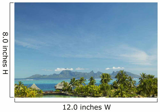 Palm Trees And Grass Huts In Foreground Wall Mural