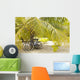 French Polynesia, Tuamotu, Palm Tree With Two Bikes Leaned Against It Wall Mural