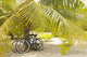 French Polynesia, Tuamotu, Palm Tree With Two Bikes Leaned Against It Wall Mural