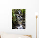 waterfall in fern gully Wall Mural