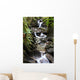 waterfall in fern gully Wall Mural