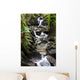waterfall in fern gully Wall Mural