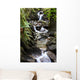 waterfall in fern gully Wall Mural
