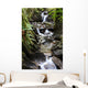 waterfall in fern gully Wall Mural